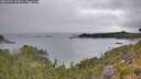 ./images/calvert/foggy-cove/20260724/foggy-cove20260724_091001M.jpg