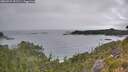 ./images/calvert/foggy-cove/20260724/foggy-cove20260724_091501M.jpg