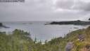 ./images/calvert/foggy-cove/20260724/foggy-cove20260724_092001M.jpg