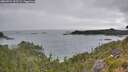 ./images/calvert/foggy-cove/20260724/foggy-cove20260724_092501M.jpg