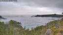 ./images/calvert/foggy-cove/20260724/foggy-cove20260724_094002M.jpg