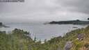 ./images/calvert/foggy-cove/20260724/foggy-cove20260724_095501M.jpg