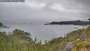 ./images/calvert/foggy-cove/20260724/foggy-cove20260724_101501M.jpg