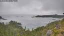 ./images/calvert/foggy-cove/20260724/foggy-cove20260724_103501M.jpg