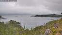 ./images/calvert/foggy-cove/20260724/foggy-cove20260724_104502M.jpg