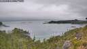 ./images/calvert/foggy-cove/20260724/foggy-cove20260724_105001M.jpg