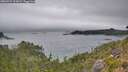 ./images/calvert/foggy-cove/20260724/foggy-cove20260724_111002M.jpg