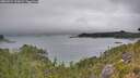./images/calvert/foggy-cove/20260724/foggy-cove20260724_112001M.jpg