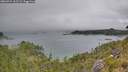 ./images/calvert/foggy-cove/20260724/foggy-cove20260724_112501M.jpg
