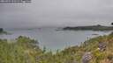./images/calvert/foggy-cove/20260724/foggy-cove20260724_113501M.jpg