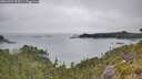 ./images/calvert/foggy-cove/20260724/foggy-cove20260724_123501M.jpg