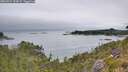 ./images/calvert/foggy-cove/20260724/foggy-cove20260724_134501M.jpg