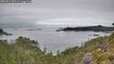 ./images/calvert/foggy-cove/20260724/foggy-cove20260724_151501M.jpg