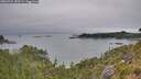 ./images/calvert/foggy-cove/20260724/foggy-cove20260724_155501M.jpg