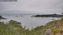 ./images/calvert/foggy-cove/20260724/foggy-cove20260724_162001M.jpg