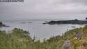 ./images/calvert/foggy-cove/20260724/foggy-cove20260724_164501M.jpg