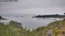 ./images/calvert/foggy-cove/20260724/foggy-cove20260724_170001M.jpg