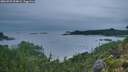 ./images/calvert/foggy-cove/20260725/foggy-cove20260725_054001M.jpg