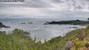./images/calvert/foggy-cove/20260725/foggy-cove20260725_062002M.jpg