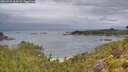 ./images/calvert/foggy-cove/20260725/foggy-cove20260725_064502M.jpg
