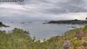 ./images/calvert/foggy-cove/20260725/foggy-cove20260725_081001M.jpg