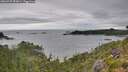 ./images/calvert/foggy-cove/20260725/foggy-cove20260725_093001M.jpg