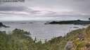 ./images/calvert/foggy-cove/20260725/foggy-cove20260725_094001M.jpg