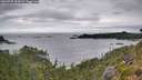 ./images/calvert/foggy-cove/20260725/foggy-cove20260725_094501M.jpg