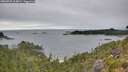 ./images/calvert/foggy-cove/20260725/foggy-cove20260725_104001M.jpg