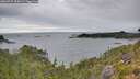 ./images/calvert/foggy-cove/20260725/foggy-cove20260725_104501M.jpg