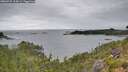 ./images/calvert/foggy-cove/20260725/foggy-cove20260725_105001M.jpg