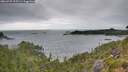 ./images/calvert/foggy-cove/20260725/foggy-cove20260725_105501M.jpg
