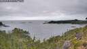 ./images/calvert/foggy-cove/20260725/foggy-cove20260725_110501M.jpg