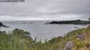 ./images/calvert/foggy-cove/20260725/foggy-cove20260725_111001M.jpg