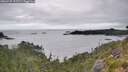 ./images/calvert/foggy-cove/20260725/foggy-cove20260725_111501M.jpg