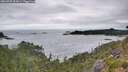 ./images/calvert/foggy-cove/20260725/foggy-cove20260725_112001M.jpg