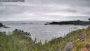 ./images/calvert/foggy-cove/20260725/foggy-cove20260725_112501M.jpg