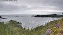 ./images/calvert/foggy-cove/20260725/foggy-cove20260725_113001M.jpg
