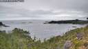 ./images/calvert/foggy-cove/20260725/foggy-cove20260725_113501M.jpg