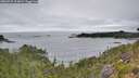 ./images/calvert/foggy-cove/20260725/foggy-cove20260725_114001M.jpg