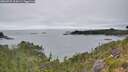./images/calvert/foggy-cove/20260725/foggy-cove20260725_114501M.jpg