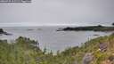 ./images/calvert/foggy-cove/20260725/foggy-cove20260725_115501M.jpg
