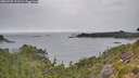 ./images/calvert/foggy-cove/20260725/foggy-cove20260725_121501M.jpg