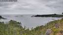 ./images/calvert/foggy-cove/20260725/foggy-cove20260725_124001M.jpg