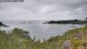 ./images/calvert/foggy-cove/20260725/foggy-cove20260725_125001M.jpg