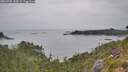 ./images/calvert/foggy-cove/20260725/foggy-cove20260725_130501M.jpg