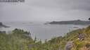 ./images/calvert/foggy-cove/20260725/foggy-cove20260725_131501M.jpg