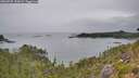 ./images/calvert/foggy-cove/20260725/foggy-cove20260725_133002M.jpg