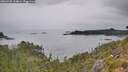 ./images/calvert/foggy-cove/20260725/foggy-cove20260725_134001M.jpg