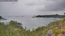 ./images/calvert/foggy-cove/20260725/foggy-cove20260725_135001M.jpg